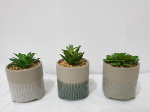 Artificial Succulent Set