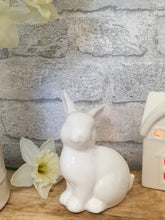 Load image into Gallery viewer, Chic Bunny

