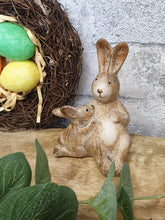 Load image into Gallery viewer, Snuggle Bunny Next to mummy
