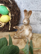 Snuggle Bunny Next to mummy