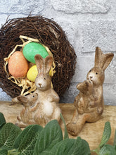 Load image into Gallery viewer, Snuggle Bunny Next to mummy
