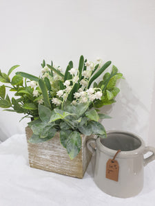 Herbs & Snowdrops Box