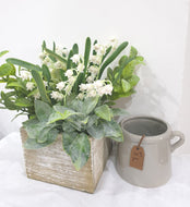 Herbs & Snowdrops Box