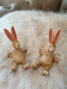 Laid Back sitting Bunny