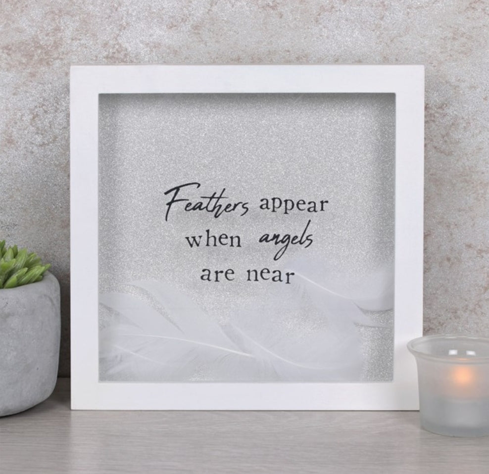 Feathers Appear when Angels are Near Box frame