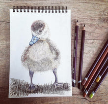 Load image into Gallery viewer, Duck Cushion

