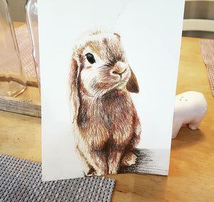 Bunny Cushion