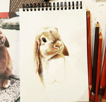 Load image into Gallery viewer, Bunny Cushion
