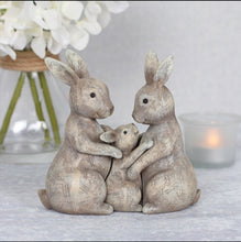 Load image into Gallery viewer, Bunny Family
