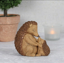 Load image into Gallery viewer, Mother and Baby Hedgehog
