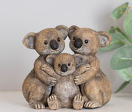 Koala Family