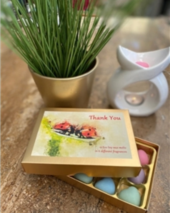 Thank you - Wax Melt selection box